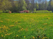Dražba louky, Omlenice, 4505 m2