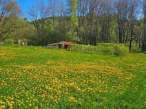Dražba louky, Omlenice, 4505 m2