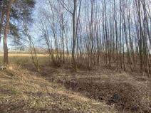 Prodej pozemku, Trstěnice, 1109 m2