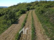 Prodej sadu/vinice, Křepice, 2199 m2