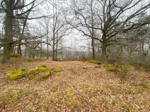 Prodej pole, Slatina, 10514 m2