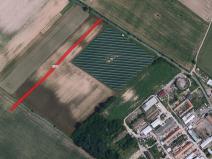 Dražba pozemku pro bydlení, Lanžhot, 4258 m2