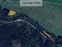 Prodej lesa, Prosíčka - Dolní Prosíčka, 4042 m2