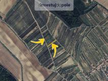 Prodej pole, Dolní Bojanovice, 1330 m2