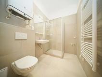 Pronájem bytu 1+kk, Praha - Nové Město, Vyšehradská, 30 m2