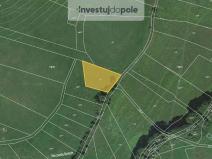 Prodej pole, Neurazy - Nová Ves u Nepomuka, 1677 m2