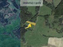 Prodej louky, Neurazy - Nová Ves u Nepomuka, 6998 m2