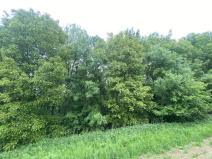 Prodej pozemku, Podolí, 380 m2