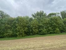 Prodej pozemku, Podolí, 380 m2