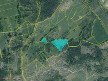 Prodej louky, Střížovice, 9080 m2
