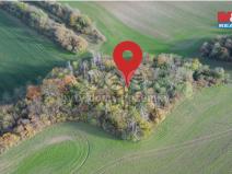 Prodej lesa, Kočí, 5803 m2