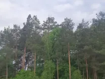 Prodej pozemku, Horní Jelení, 2133 m2