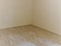 Pronájem bytu 1+1, Brno, Vlhká, 46 m2