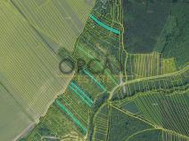 Prodej pole, Březolupy, 17736 m2