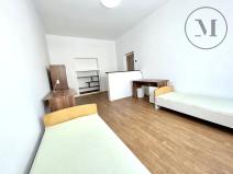 Pronájem bytu 2+1, České Budějovice, Dobrovodská, 98 m2