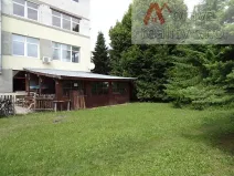 Pronájem restaurace, Brno, Lýskova, 400 m2