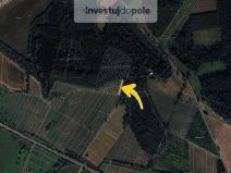 Prodej pole, Moravský Písek, 571 m2