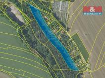 Prodej pozemku pro bydlení, Vlašim, 10664 m2