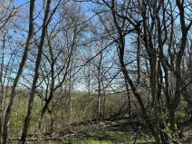 Prodej pozemku, Jevišovice, 7710 m2