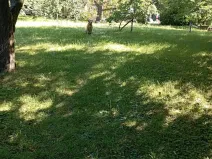 Prodej chaty, Brandýsek, 25 m2