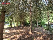Prodej chaty, Borušov, 35 m2