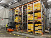 Pronájem skladu, Panenské Břežany, 6000 m2