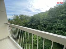 Prodej bytu 1+1, Ústí nad Labem - Střekov, Tolstého, 45 m2