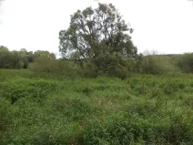 Dražba pozemku, Mirotice, 2214 m2