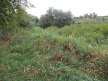 Prodej pozemku, Mirotice - Lučkovice, 2214 m2