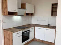 Pronájem bytu 1+1, Liberec, Jeřmanická, 42 m2