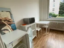 Pronájem bytu 1+1, Praha - Žižkov, Pod lipami, 38 m2