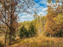 Prodej lesa, Ostřetín, 13718 m2