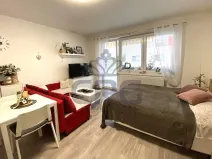Pronájem bytu 1+kk, Slavkov u Brna, Zelnice II., 39 m2