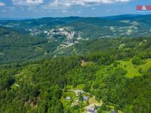 Prodej lesa, Tanvald - Šumburk nad Desnou, 1984 m2