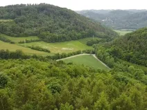 Dražba louky, Skorotice, 30636 m2