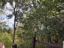 Prodej pozemku, Holín, 984 m2