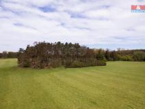 Prodej lesa, Borohrádek, 7342 m2