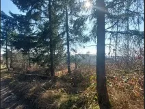 Prodej lesa, Čížov, 620 m2