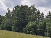 Prodej pozemku, Pomezí nad Ohří, 39941 m2