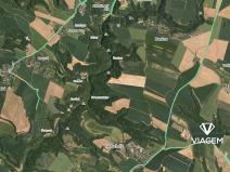 Prodej podílu lesa, Kokořín, 7736 m2