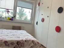 Pronájem bytu 1+kk, Pardubice, nábřeží Závodu míru, 38 m2