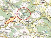 Prodej lesa, Mladějov, 1561 m2