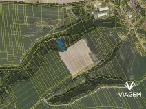 Prodej lesa, Skalice, 1800 m2