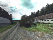 Prodej podílu lesa, Oborná, 10120 m2