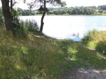 Prodej pozemku, Lipí - Kaliště u Lipí, 480 m2