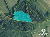 Prodej lesa, Hovězí, 7071 m2