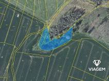 Prodej podílu lesa, Radošovice, 341 m2