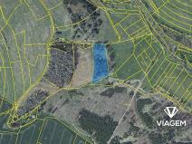 Prodej podílu lesa, Radošovice, 547 m2