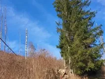 Prodej pozemku, Onšov, 809 m2