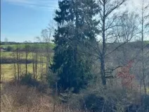 Prodej pozemku, Onšov, 334 m2